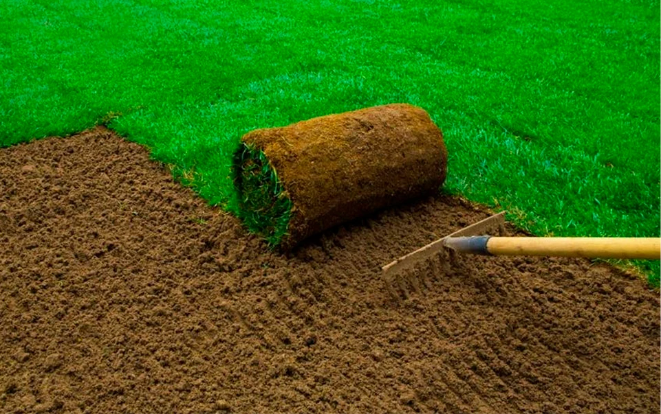 Grass & Sod Installation