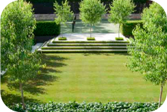 Grass & Sod Installation